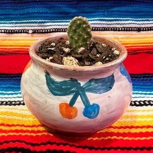 Baby Cactus in Hand-Painted Ceramic Pot